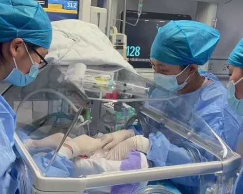 辅助生殖